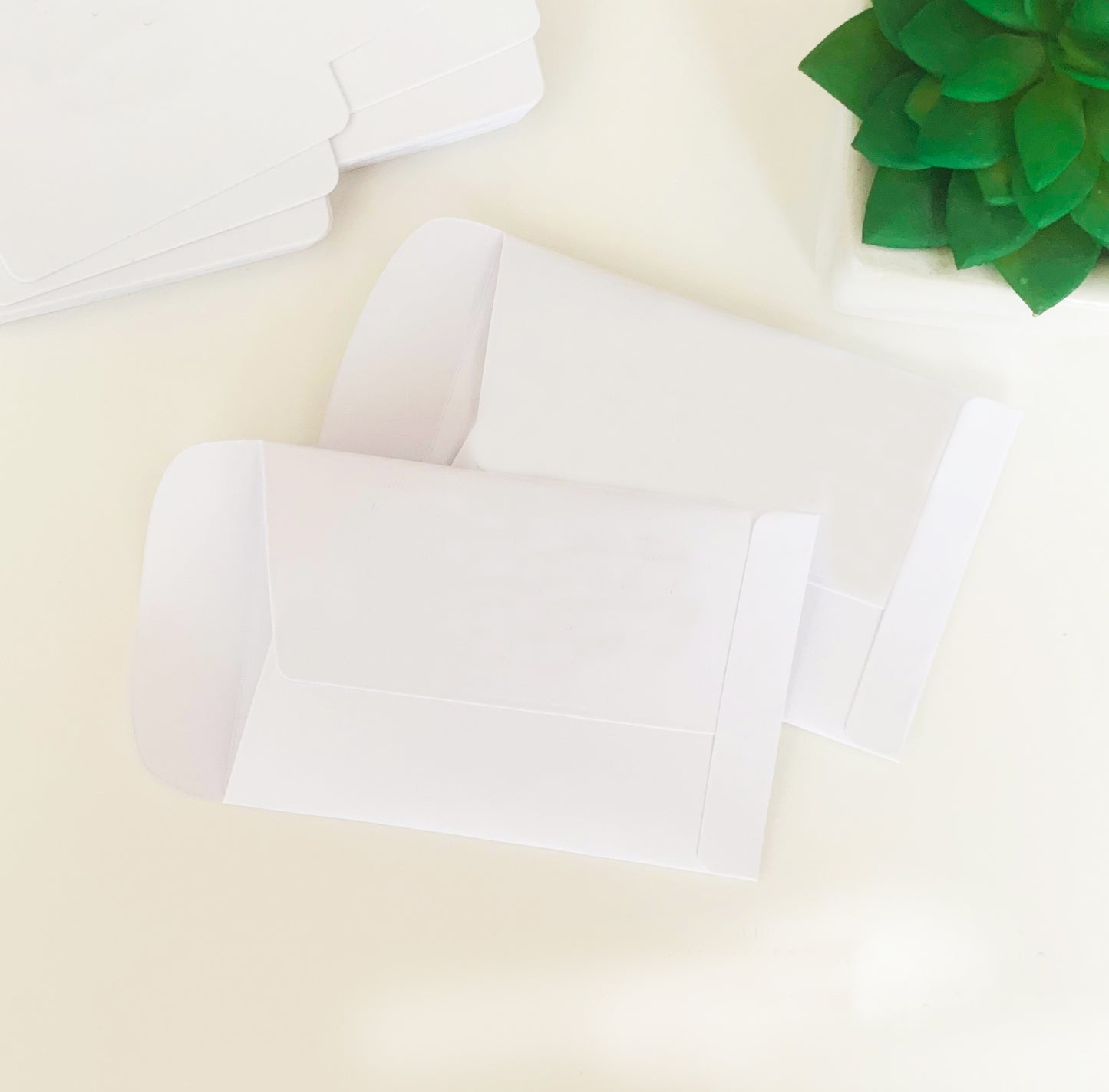 20 Let Love Grow Packets with Wildflower Seeds for Wedding Favors