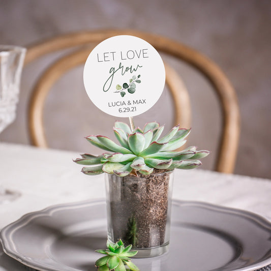 Plant pick wedding favor, party favor picks, succulent plant name tags